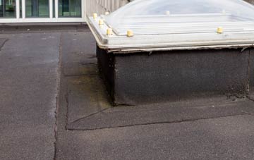 disadvantages of Somerleyton flat roofs