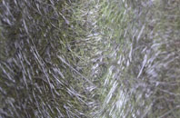 Somerleyton fibreglass roof work